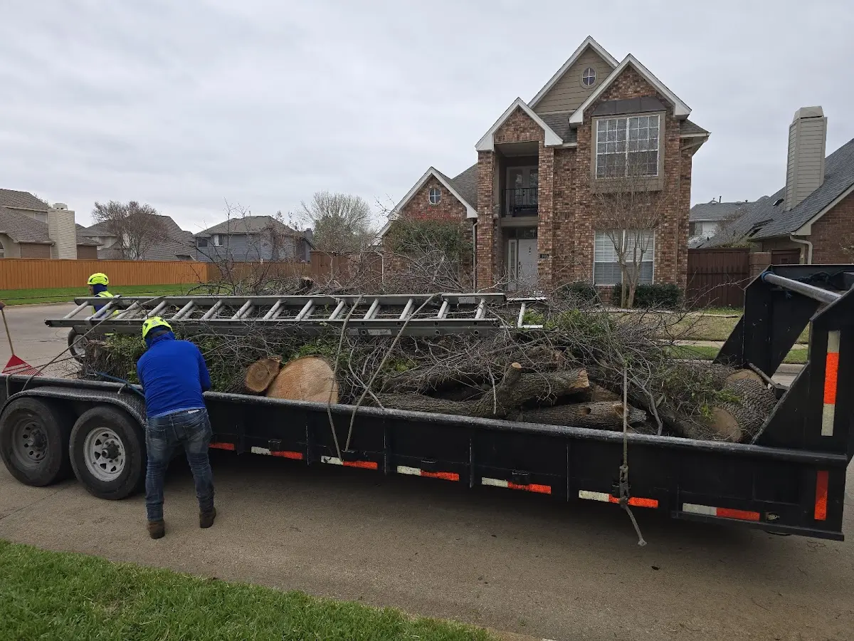 Expert Tree Removal with proper safety equipment in Adrian